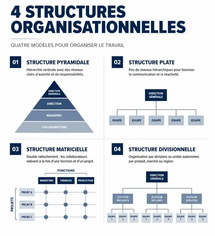 Infographie comparative des différents modèles de hiérarchie dans une entreprise : pyramidale, horizontale, matricielle et divisionnelle.